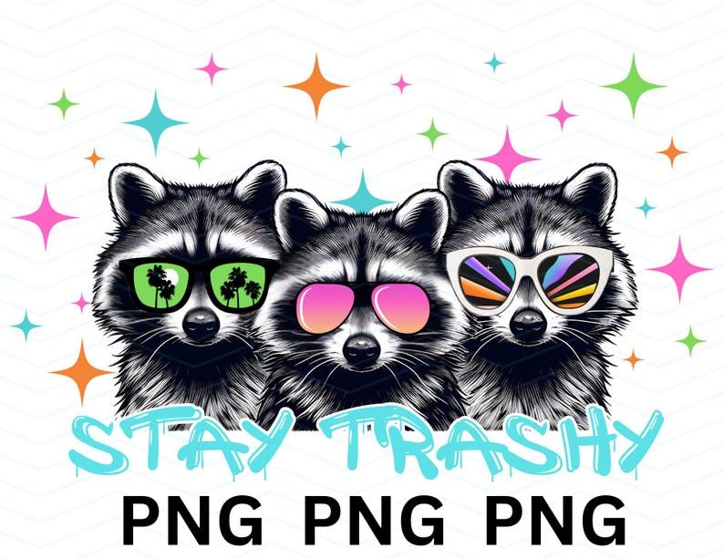 Graffiti Raccoon PNG: Stay Trashy Cartoon Clipart (digital Download) - Etsy