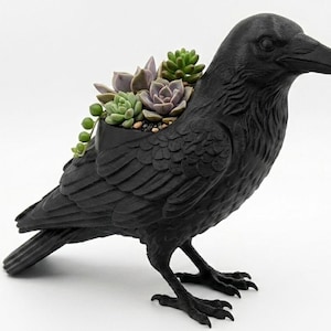 May include: A matte black raven-shaped planter featuring detailed feather textures and a sturdy base. The bird's back contains a hollow opening filled with a variety of small green and purple succulent plants, including a trailing string of pearls.