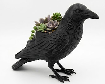 Crow Succulent Pot, Indoor Planter, Succulent Planter, Crow Flower Pot, Crow Decor, Crow Planter, Crow Pot, Raven Decor, Raven Flower Pot