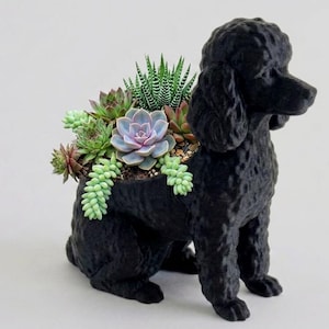 May include: A matte black poodle-shaped planter featuring a textured coat and a hollow back section filled with a variety of small green and purple succulents, including a central rosette-shaped plant and trailing light green foliage.