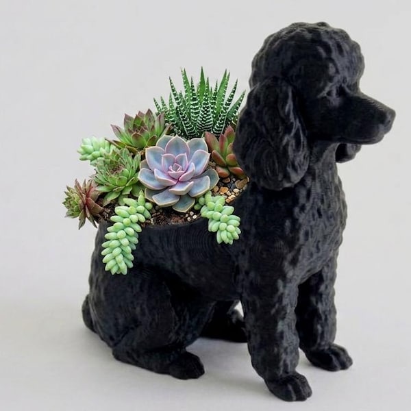 Maceta para suculentas con forma de caniche miniatura, maceta de interior, maceta para suculentas, maceta para flores con forma de caniche miniatura, decoración con forma de caniche miniatura, maceta para perros, maceta para perros, decoración para perros