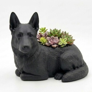 May include: A matte black planter shaped like a German Shepherd dog in a lying position. The dog's back features an opening filled with a variety of small, green and purple succulent plants. The sculpture has detailed fur texture and pointed ears.