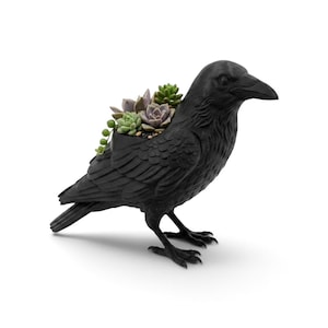 May include: A matte black raven-shaped planter featuring detailed feather textures and a hollow back section filled with a variety of small green and purple succulents, including a trailing string of pearls plant, standing on two feet.