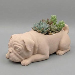 May include: A light beige pug-shaped planter filled with assorted succulents. The ceramic planter has detailed facial features and a curled tail. The succulents are various shades of green and blue-green. The planter is on a gray background.