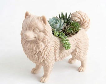 Pomeranian Succulent Pot, Indoor Planter, Succulent Planter, Pomeranian Flower Pot, Pomeranian Decor, Dog Planter, Dog Pot, Dog Decor