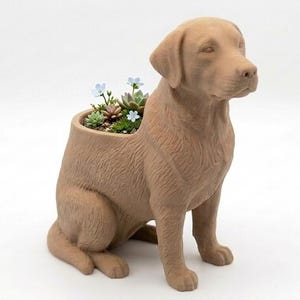 May include: A light brown, matte-finished planter shaped like a sitting Labrador retriever. The dog's back features a hollow opening containing small green succulents and tiny light blue flowers, creating a functional decorative container.