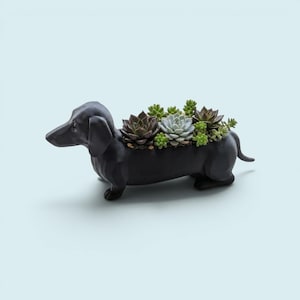 May include: A matte black dachshund-shaped planter featuring a long body with a hollow center. The planter is filled with a variety of small, green and dark-toned succulent plants, including rosette-shaped varieties and tiny rounded leaves.