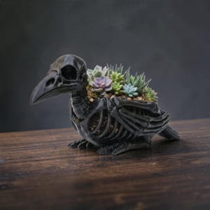 May include: A black bird skeleton planter featuring a hollowed-out back cavity filled with soil and a variety of small green and purple succulent plants. The skeletal structure includes a detailed skull, beak, rib cage, and folded wing bones.
