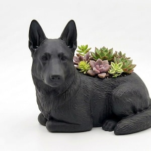May include: A matte black planter shaped like a German Shepherd dog in a lying position. The dog's back features an opening filled with a variety of small, green and purple succulent plants. The sculpture has detailed fur texture and pointed ears.