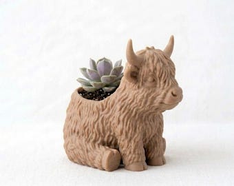 Highland Cow Succulent Pot, Indoor Planter, Succulent Planter, Highland Flower Pot, Highland Decor, Cow Planter, Cow Pot, Cow Decor