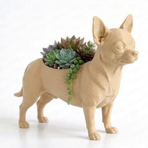 May include: A tan-colored Chihuahua-shaped planter filled with various succulents. The planter is a detailed sculpture of a dog, with a hollowed-out back to hold the plants. The succulents are a mix of green, blue-green, and reddish hues.