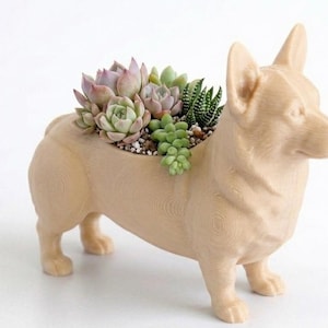 May include: A beige corgi-shaped planter filled with a variety of succulents. The planter is made of a light-colored material and features a detailed dog design. The succulents include shades of green, purple, and pink, creating a colorful display. A unique decorative item.
