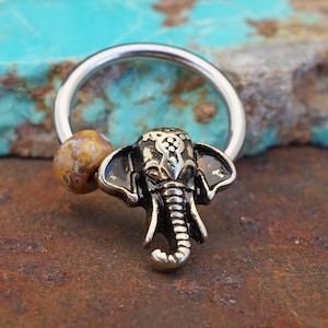 Elephant septum ring clearance