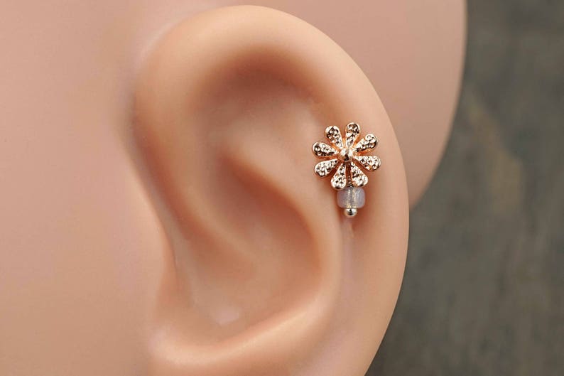 Daisy Rose Gold Stud Cartilage Earring Piercing 16g Etsy