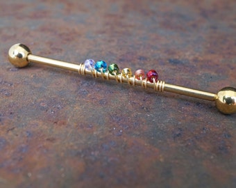 14 Gauge or 16 Gauge Rainbow Industrial Barbell Silver, Gold, Black or Rose Gold Pride