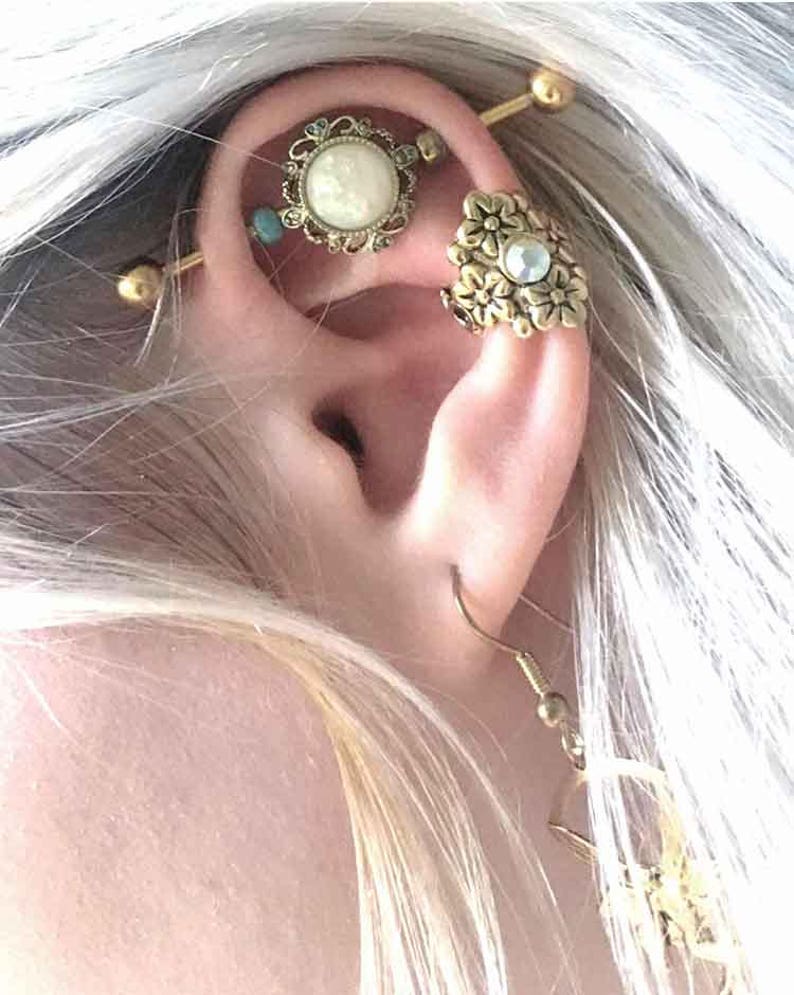 scaffold piercing scaffold piercing
