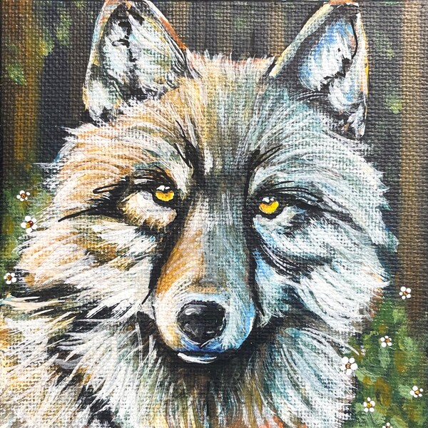 Shy Wolf in the Forest Daisies Original Art Canvas Mini Small