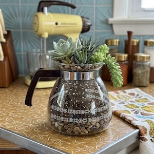 May include: A glass coffee pot repurposed as a planter, filled with layers of small pebbles and dark soil. The clear glass features a white geometric pattern around the center. A variety of green succulents grow from the top of the pot.