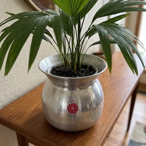 May include: A silver-colored metal pot with a wide, flared rim and a rounded body, containing a green palm plant with long, slender fronds. A small, circular red and white sticker is affixed to the front of the metallic, textured surface.