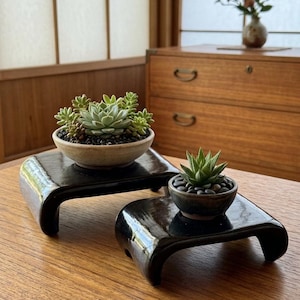 May include: Two succulent plants in small ceramic bowls, each resting on a glossy black curved display stand. The larger bowl is light beige and holds a cluster of green succulents, while the smaller dark bowl contains a single spiky succulent.