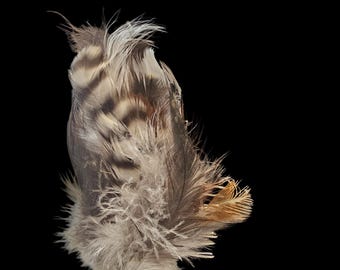 Handmade Feather Hair Comb: One-of-a-Kind Upcycled Chicken Feathers Clip, Boho Glam Hair Accessory