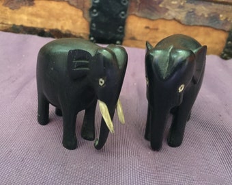 Südafrika Ebenholz Sex