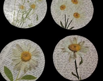 Handmade 4 Daisy Wood Coasters: One-Of-A-Kind  Wooden Coasters, Round, Daisies, Flowers