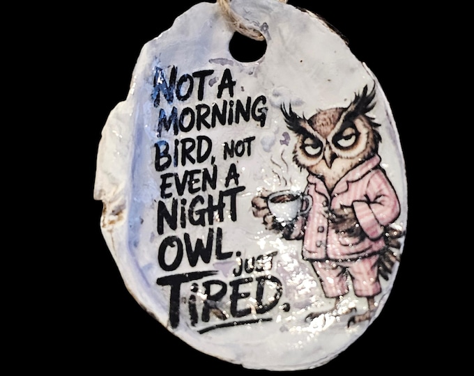 Handmade Tired Owl Shell Car Charm: One-Of-A-Kind Rear View Car Mirror Hanger