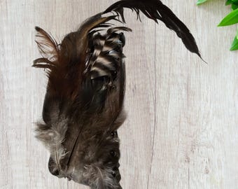 Handmade Feather Hair Clip: Upcycled Chicken Feathers, Glam Boho Accessory
