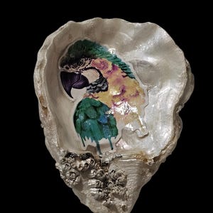 Macaw Shell Art | Handcrafted Parrot Shell Dish | Forrest Home Decor