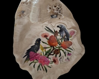 Gray Parrot Shell Home Decor: Shell Art, Knick Knack, Pill Dish