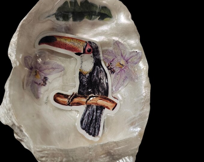 Handmade Toucan Shell Art: One-Of-A-Kind Shell Home Decor