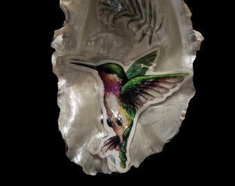 Hummingbird Shell Home Decor: Shell Art