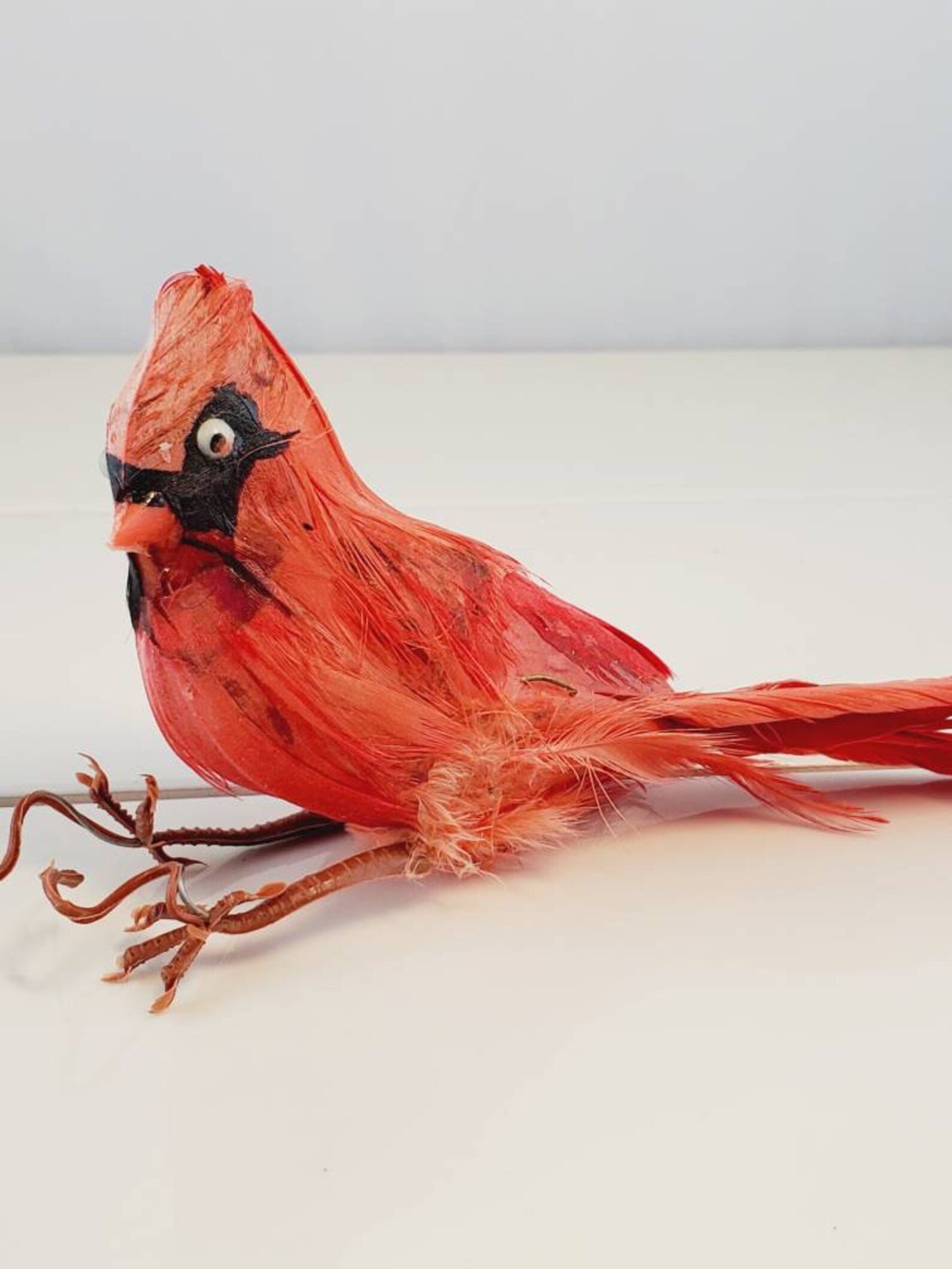Red Cardinal Bird Ornament Real Feathers Wire for Fastening Etsy