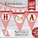 see more listings in the PARTY BANNERS/BUNTING section