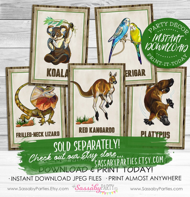Australian Animals Party Sign Poster INSTANT Download Editable & Printable Birthday Decorations, Decor, Kangaroo, Koala, Lizard, Decor image 3