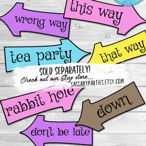 May include: Alice in Wonderland themed arrow signs for a party. The signs are in various colors and feature phrases like "which way?", "wrong way", "tea party", "that way", "rabbit hole", "don't be late", and "down".