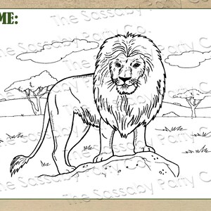 Safari Party Activity Sheets, Birthday Decor, Coloring Sheet, African Animals, Giraffe, Elephant, Lion, Africa, Games, Maze, Jokes, Word Finder, Placemat, Instant Download, Print Yourself, Printable,