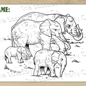 Safari Party Activity Sheets, Birthday Decor, Coloring Sheet, African Animals, Giraffe, Elephant, Lion, Africa, Games, Maze, Jokes, Word Finder, Placemat, Instant Download, Print Yourself, Printable,