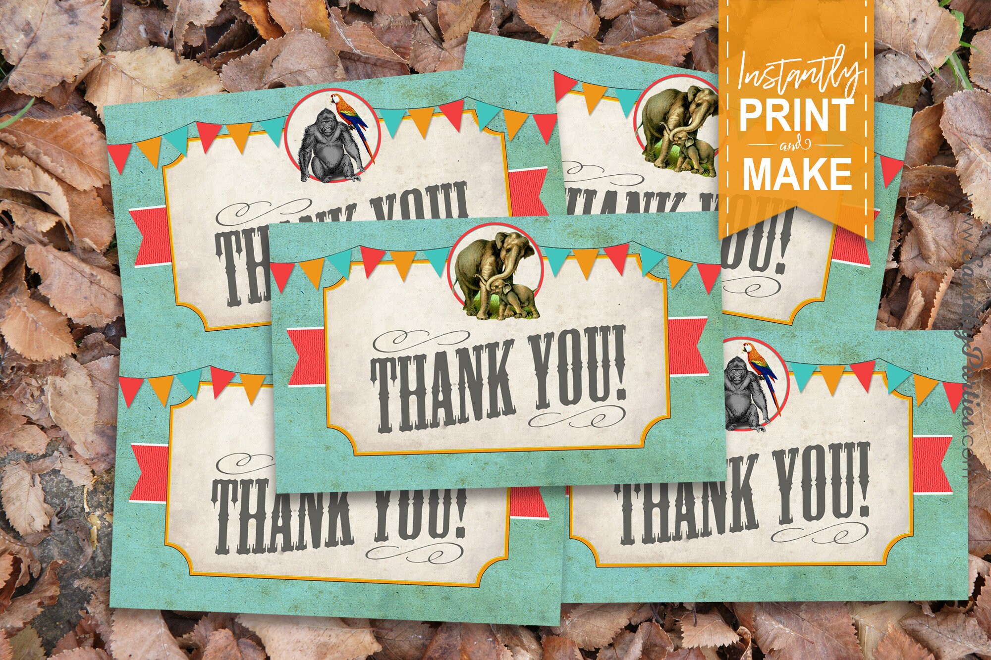 Vintage Zoo Thank You Cards INSTANT DOWNLOAD Printable Etsy Australia