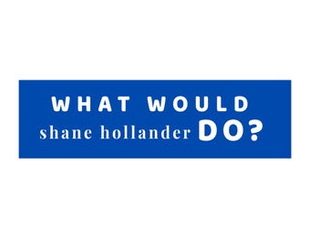 Was würde Shane Hollander tun? Autoaufkleber