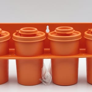 Ensemble d'étagères à épices Tupperware vintage Retro #102 Oranges de récolte