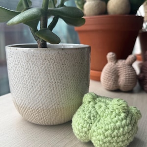 May include: A light green crocheted frog figurine on a light wood surface. A white speckled ceramic pot with a jade plant is to the left. Other crocheted figurines and potted plants are in the background.