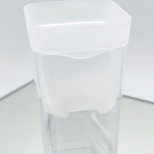 Hydro Selbstbewässerungstopf Mini Semi Hydro Monstera Philodendron Hoya  Zimmerpflanzen Baby Docht Etikett