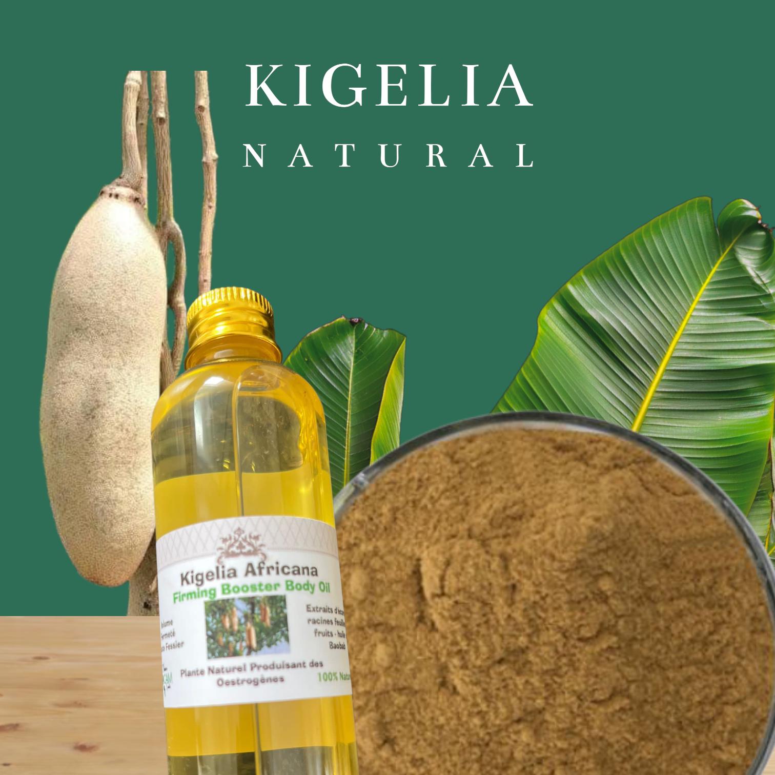 Beurre Crème Kigelia XXL - Soin à Base De Plantes Pour Le Pénis - 100g - Naturel Et Biologique