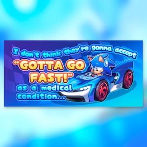 May include: A cartoon image of Sonic the Hedgehog in a blue race car. The text reads, "I don't think they're gonna accept 'GOTTA GO FAST!' as a medical condition..."