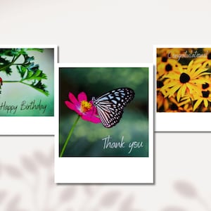 Conjunto de cartões comemorativos com 3 cartões fotográficos estilo Polaroid, miniaturas de arte com flores, borboleta e joaninha, para aniversário, agradecimento e parabéns.