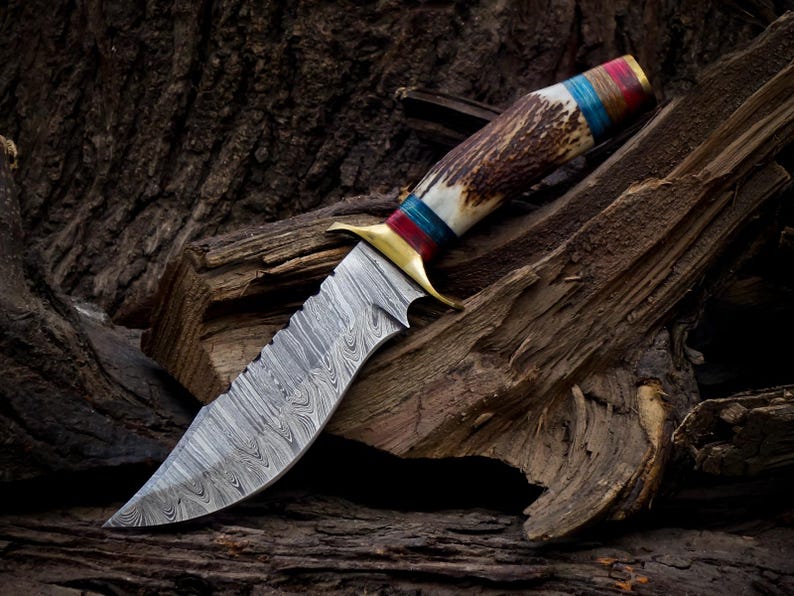 10 inch Handmade Damascus Stag Antler Handle Knife W Sheath, Knife handle color shape could be different then pics, Valentines Gifts for Him image 6