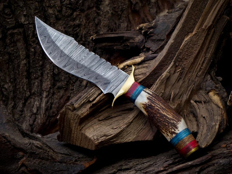 10 inch Handmade Damascus Stag Antler Handle Knife W Sheath, Knife handle color shape could be different then pics, Valentines Gifts for Him image 7