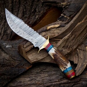 10 inch Handmade Damascus Stag Antler Handle Knife W Sheath, Knife handle color shape could be different then pics, Valentines Gifts for Him image 2